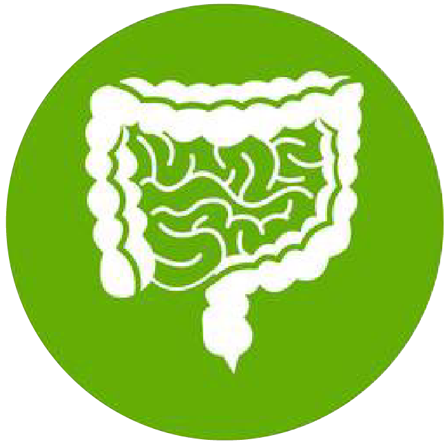 關(guān)注職場“腸”態(tài)，守護(hù)員工健康——上海格瑞特特邀消化內(nèi)科專家公益系列講座（4）(圖1)