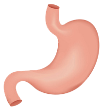 關(guān)注職場“腸”態(tài)，守護(hù)員工健康——上海格瑞特特邀消化內(nèi)科專家公益系列講座（4）(圖9)